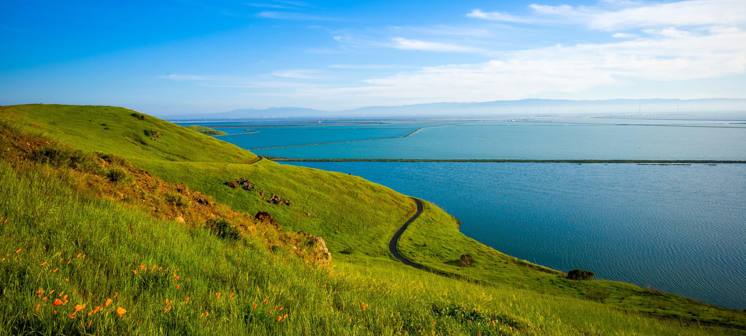 Rolling green hills and waterfront at Coyote Hills Regional Park, Fremont