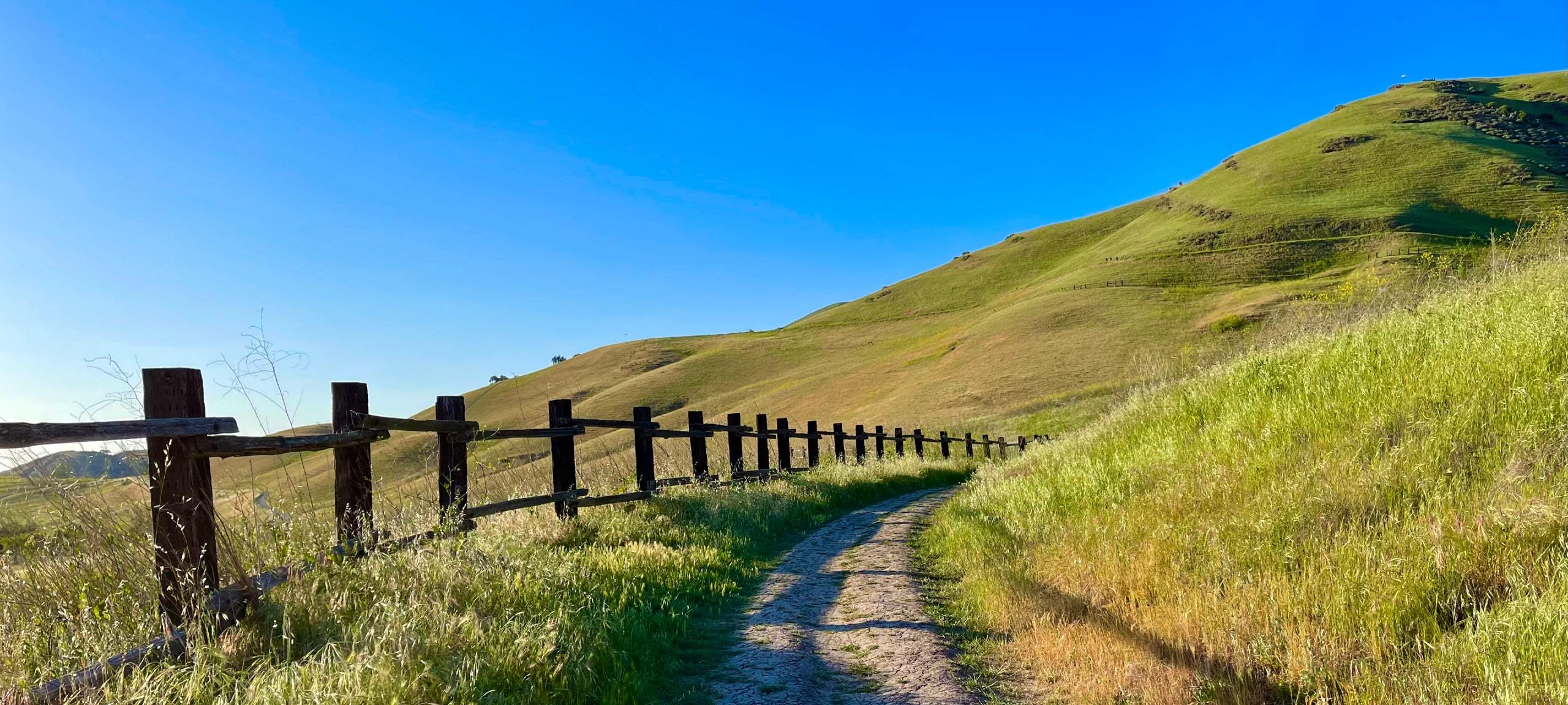 Hilly trail at Ed R. Levin County Park in Milpitas, CA